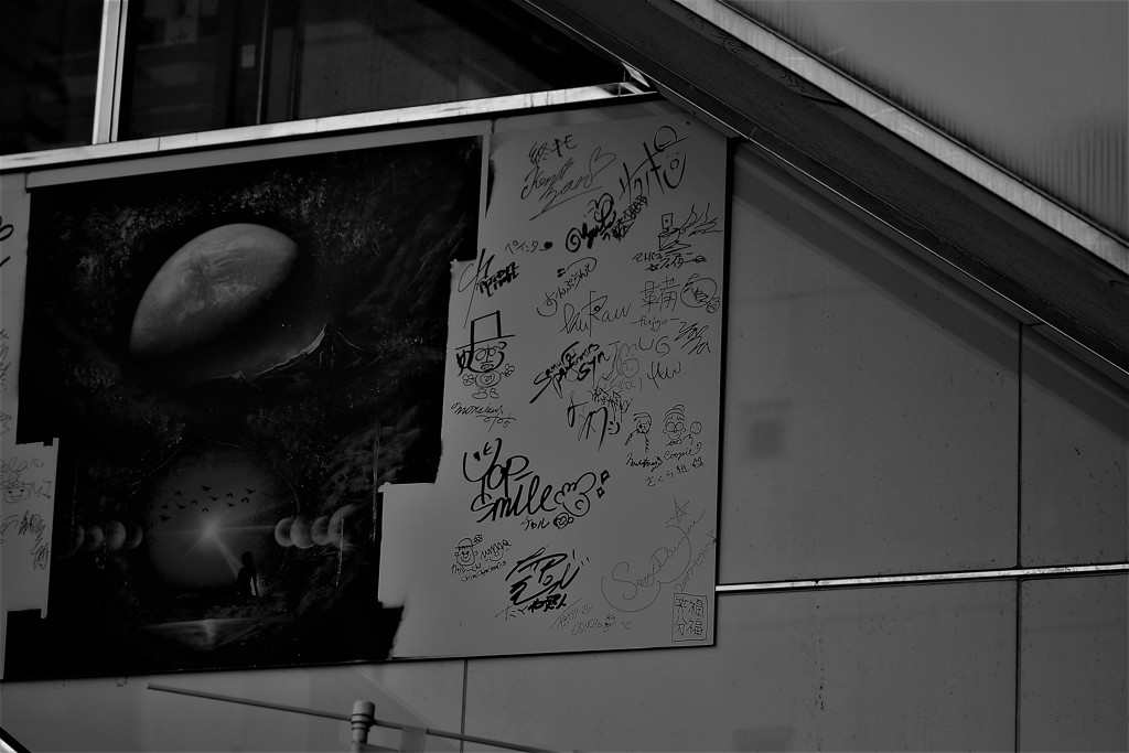 IMGP6188 (2)