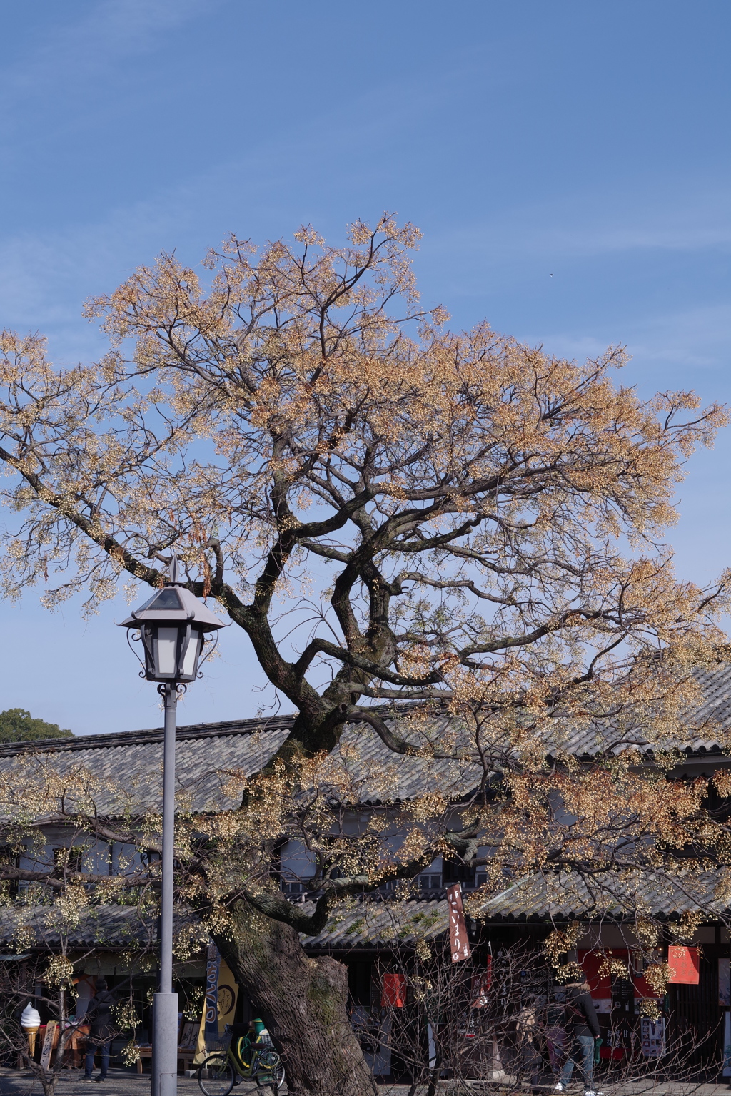 IMGP7894