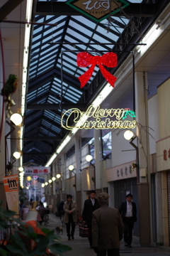 IMGP2698