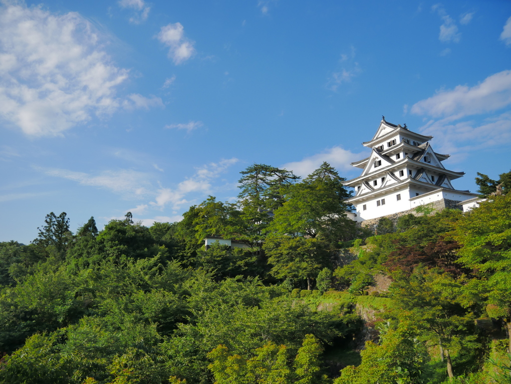 青空と郡上八幡城