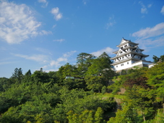 青空と郡上八幡城