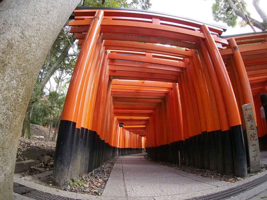 千本鳥居⛩