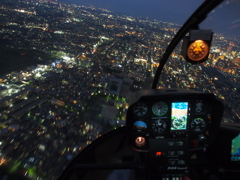 東京上空ナイトクルーズ