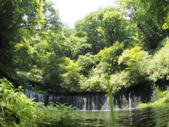 白糸の滝