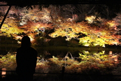 B23680E7-CDCA-463A-889B-EE7B1320DECB