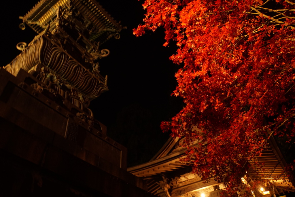 大山　ライトアップ