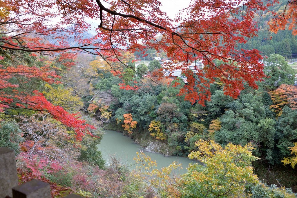 永源寺のもみじが紅葉