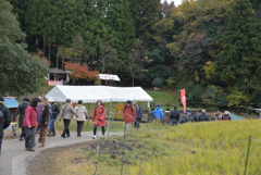 鶏足寺 紅葉散策道