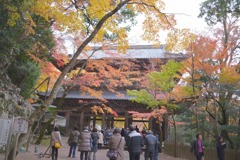 永源寺のもみじが紅葉