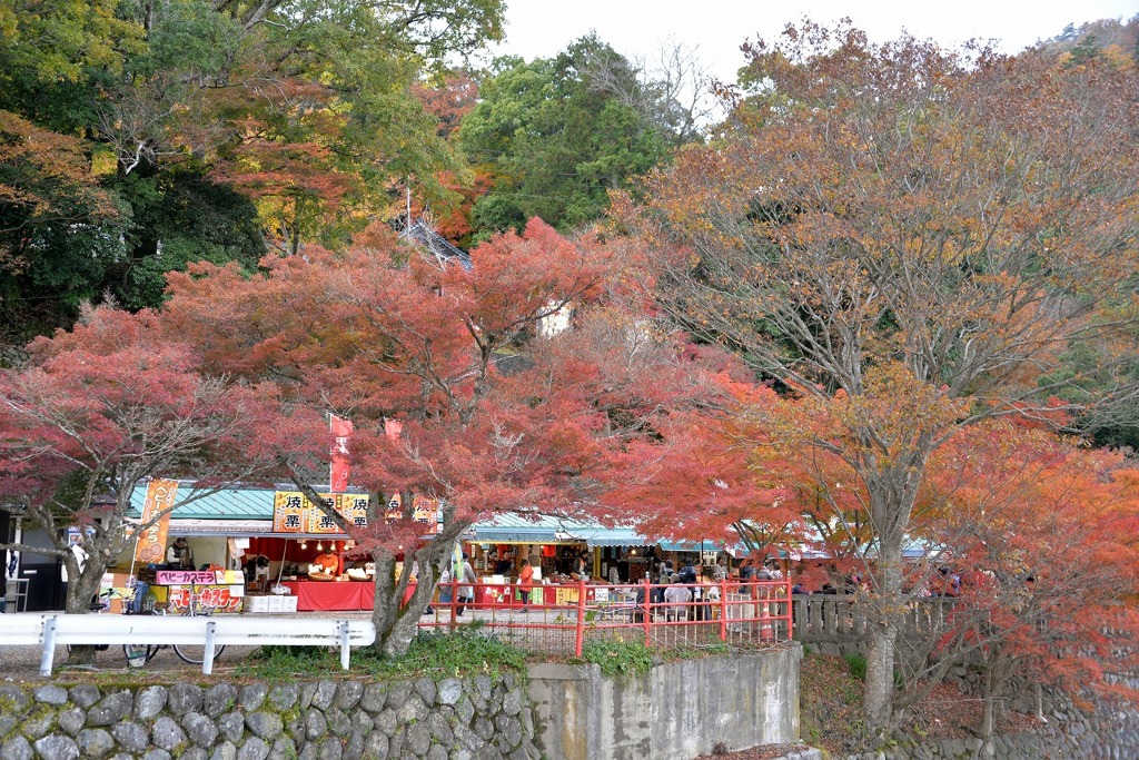 永源寺のもみじが紅葉