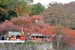 永源寺のもみじが紅葉