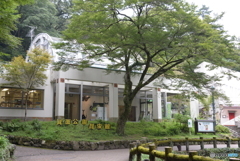 2-7.箕面　昆虫館