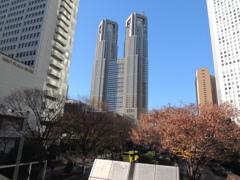 都庁