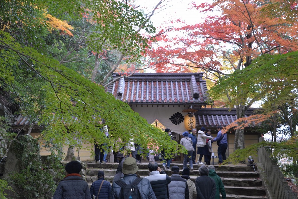 永源寺のもみじが紅葉