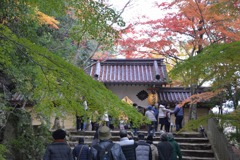 永源寺のもみじが紅葉