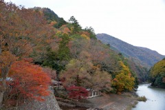 永源寺のもみじが紅葉