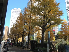 新宿西口から都庁へ