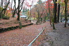 鶏足寺 紅葉