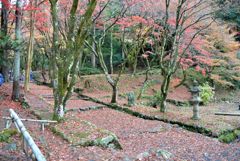 鶏足寺 紅葉