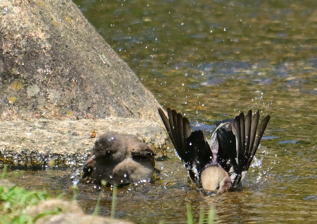 あ～気持ちいい～～(^.^)