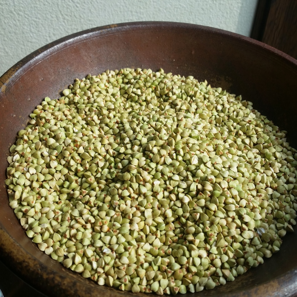 新蕎麦の実