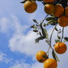 DSCN0247