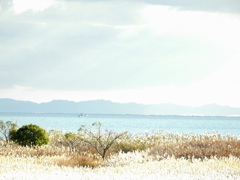 お目当ては何？