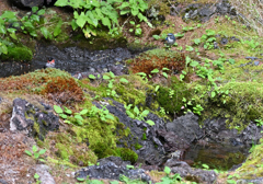 赤　青　黄色の　衣装をつけた～
