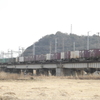 貨物列車 桃太郎