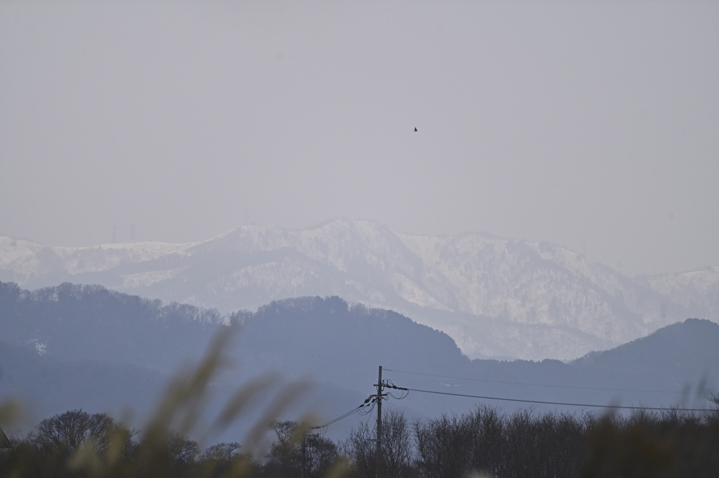 伊吹山