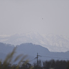 伊吹山