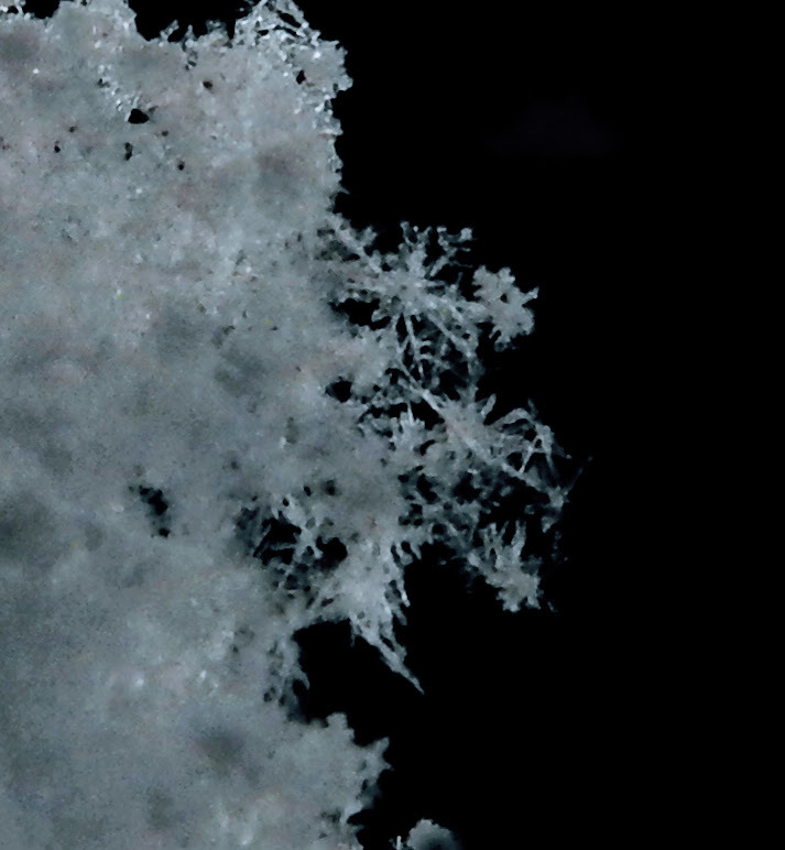 雪の結晶