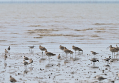 チュウシャクかダイシャク？