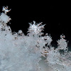 雪の結晶