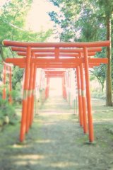 その先