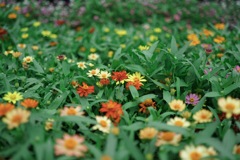 アンデルセン公園