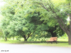 昼下がりの微睡み