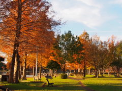 みさと公園