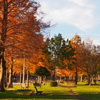 みさと公園
