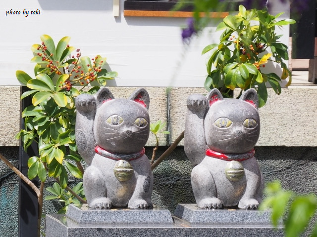 今戸神社 石なで猫
