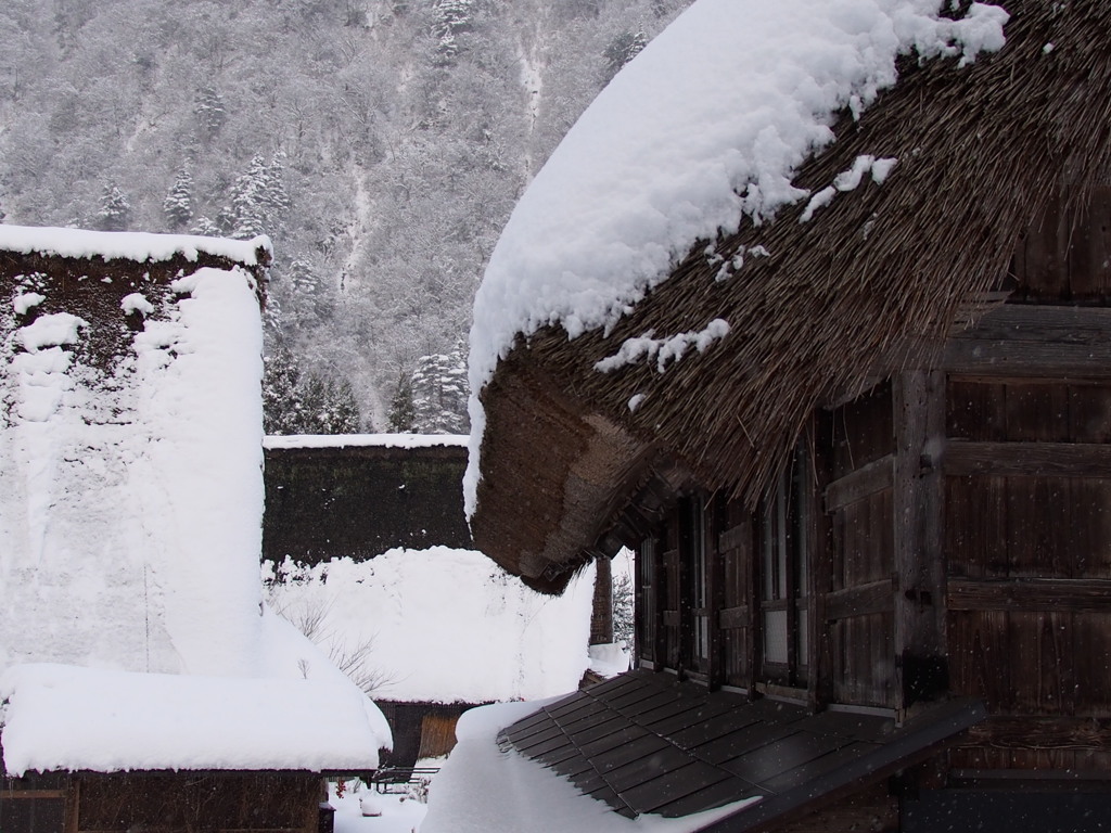 豪雪