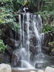 滝