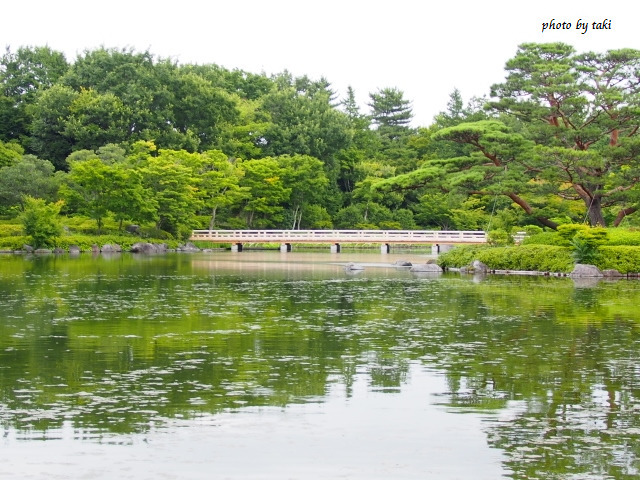 昭和記念公園　日本庭園