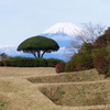 山中城址