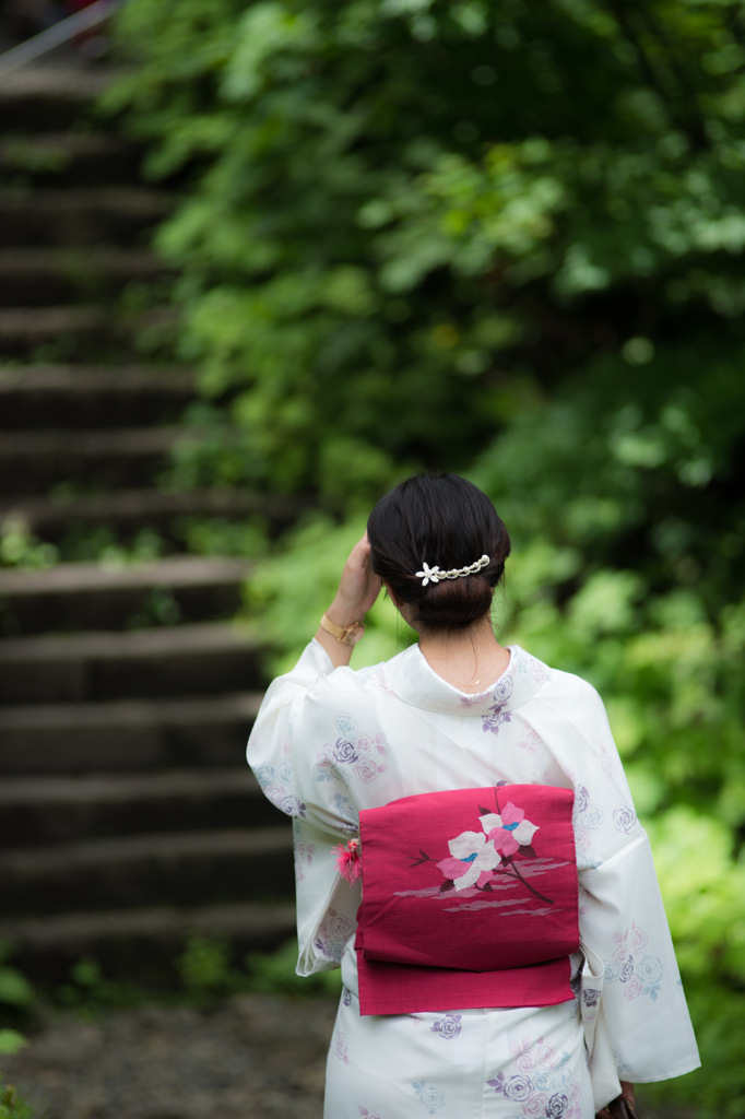 緑陰涼風