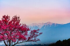 朝を待つ里の春