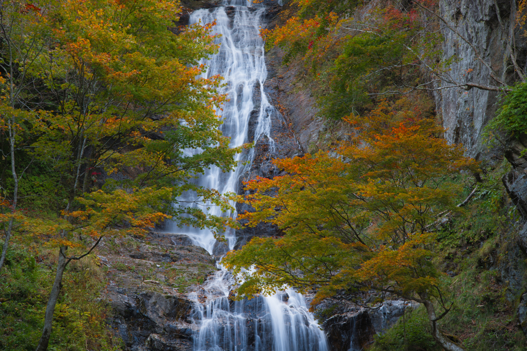唐沢の滝　秋