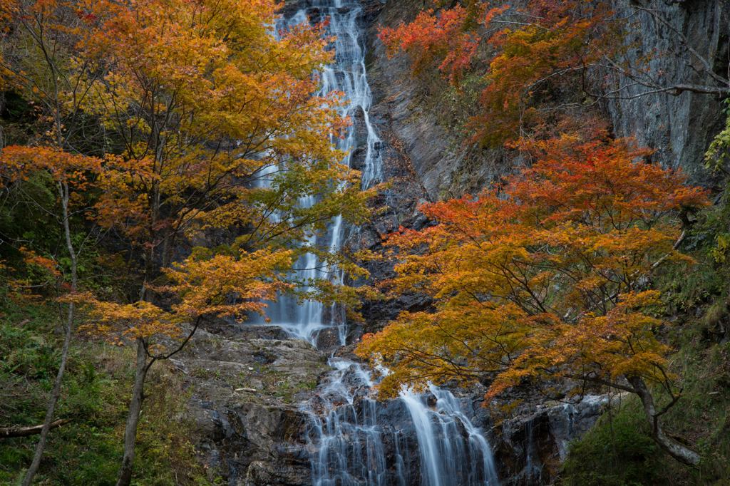 唐沢の滝　秋色