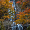 唐沢の滝　秋色