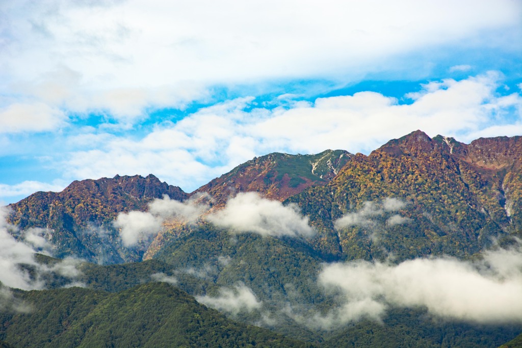 衣替えの季節到来
